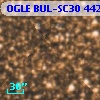 OGLE BUL-SC30 442967