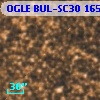 OGLE BUL-SC30 165113