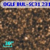 OGLE BUL-SC31  23116