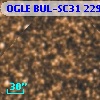 OGLE BUL-SC31 229861
