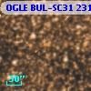 OGLE BUL-SC31  23132