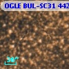 OGLE BUL-SC31 442646
