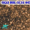 OGLE BUL-SC31 442617