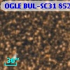 OGLE BUL-SC31  85235