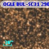 OGLE BUL-SC31 290077