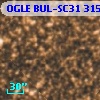OGLE BUL-SC31 315036