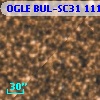 OGLE BUL-SC31 111270