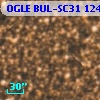 OGLE BUL-SC31 124589
