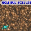 OGLE BUL-SC31 137699