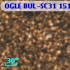 OGLE BUL-SC31 151518