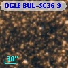 OGLE BUL-SC36      9
