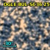 OGLE BUL-SC36  25974