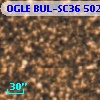 OGLE BUL-SC36 502017