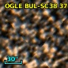 OGLE BUL-SC38 372741
