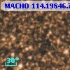 MACHO 114.19846.777