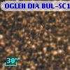OGLEII DIA BUL-SC1    202