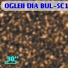 OGLEII DIA BUL-SC1    426