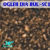 OGLEII DIA BUL-SC1    552