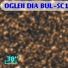 OGLEII DIA BUL-SC1    616