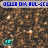 OGLEII DIA BUL-SC1    738