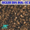 OGLEII DIA BUL-SC1    851