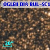 OGLEII DIA BUL-SC1    960