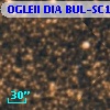 OGLEII DIA BUL-SC1   1419