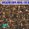 OGLEII DIA BUL-SC1   1632