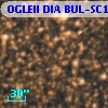 OGLEII DIA BUL-SC1   1711