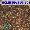 OGLEII DIA BUL-SC1   3601