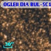 OGLEII DIA BUL-SC1   3860