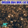 OGLEII DIA BUL-SC1   3920