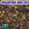 OGLEII DIA BUL-SC1   4112