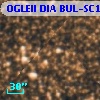 OGLEII DIA BUL-SC1   4226