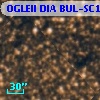 OGLEII DIA BUL-SC1   4344
