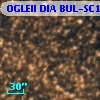 OGLEII DIA BUL-SC1   4362