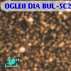 OGLEII DIA BUL-SC2    142