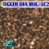 OGLEII DIA BUL-SC2    296
