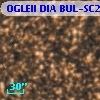 OGLEII DIA BUL-SC2    517