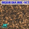 OGLEII DIA BUL-SC2    578