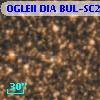 OGLEII DIA BUL-SC2    931