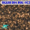 OGLEII DIA BUL-SC2   1074