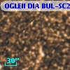 OGLEII DIA BUL-SC2   1103