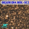 OGLEII DIA BUL-SC2   1408