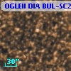 OGLEII DIA BUL-SC2   1565