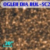 OGLEII DIA BUL-SC2   1891