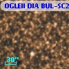 OGLEII DIA BUL-SC2   2093