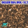 OGLEII DIA BUL-SC2   2108