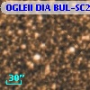OGLEII DIA BUL-SC2   2109