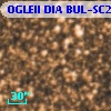 OGLEII DIA BUL-SC2   2140